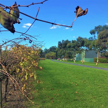 Mclaren Vale Studio Apartments Eksteriør bilde