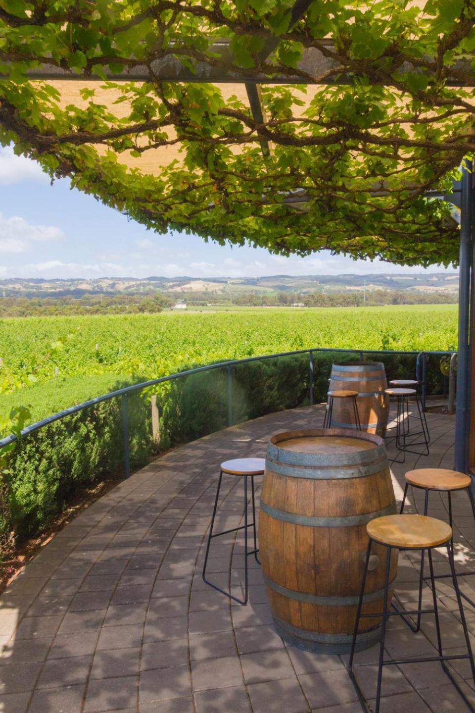 Mclaren Vale Studio Apartments Eksteriør bilde